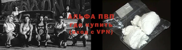 гидра Алексеевка