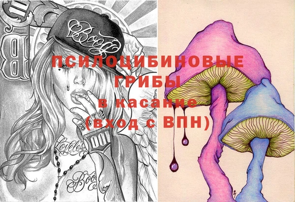 гидра Алексеевка