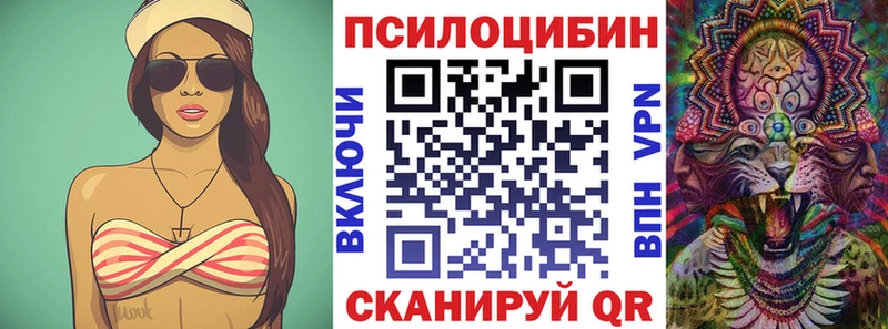 где продают Ардон площадка состав Галлюциногенные грибы мицелий